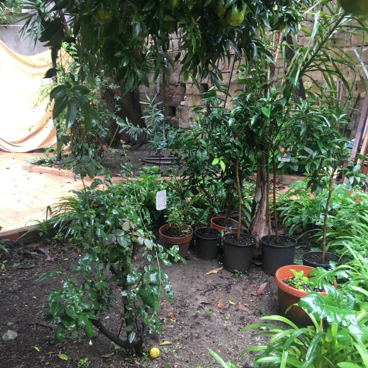 Il Giardino Di Daphne Bed & Breakfast Napoli Dış mekan fotoğraf