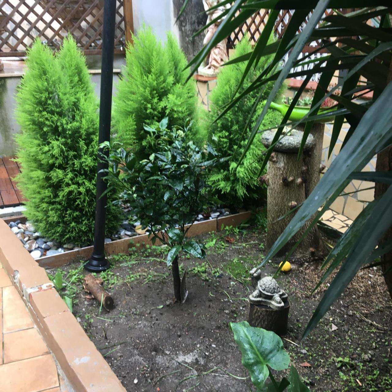 Il Giardino Di Daphne Bed & Breakfast Napoli Dış mekan fotoğraf